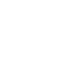 指